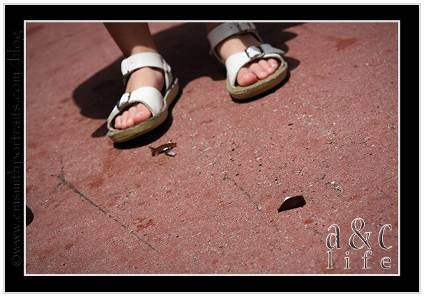 Disney08_09-071 Disney08_09-071